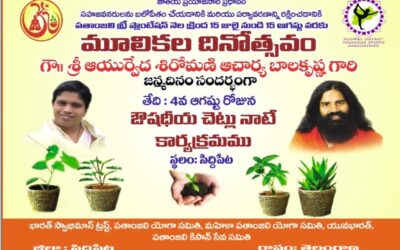Distribution of Medicinal plants Paper Clips