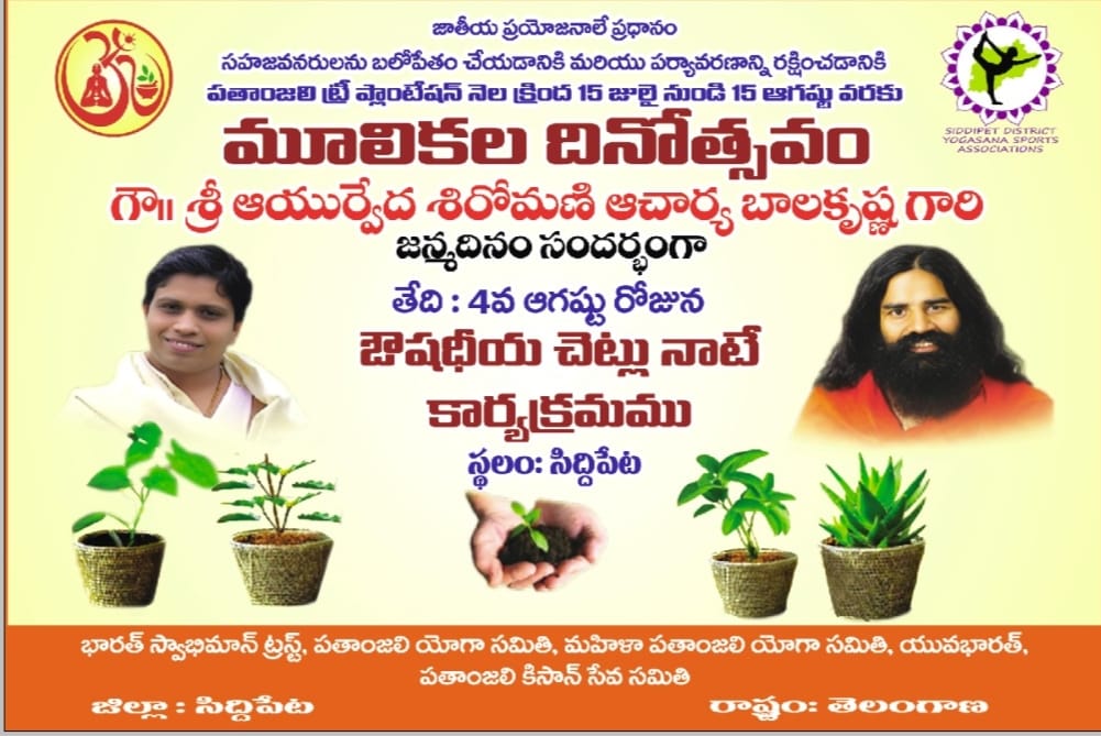 Distribution of Medicinal plants Paper Clips